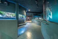 Aquaprad National Park Visitor Centre - Ramp