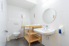 Apartments Ahrner Wirt - WC accessibile