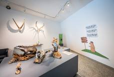 Naturatrafoi National Park Visitor Centre – Exhibition
