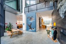 Naturatrafoi National Park Visitor Centre – Exhibition