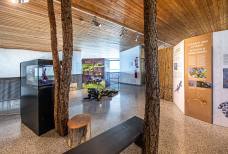 Naturatrafoi National Park Visitor Centre – Exhibition on the second floor