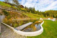 Hotel Schwarzenbach - Schwimmteich und Garten