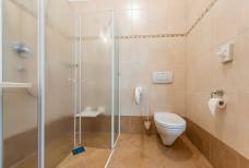 WC camera 20