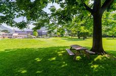 Lido di Bolzano: Prato e parco giochi