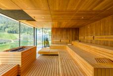 Alpiana SPA - Panorama Sauna