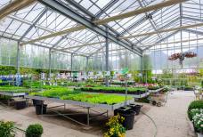 Wintergarten & Garten