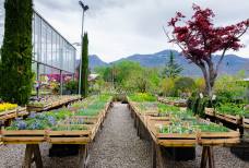 Wintergarten & Garten