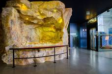 Museum Ladin Ursus ladinicus - Piattaforma elevatrice