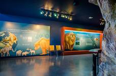 Museum Ladin Ursus ladinicus - Piano inferiore - Grotta dell'orso