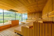 Alpiana Resort - Panorama Sauna