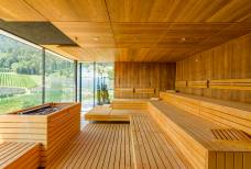 Alpiana Resort - Sauna panoramica